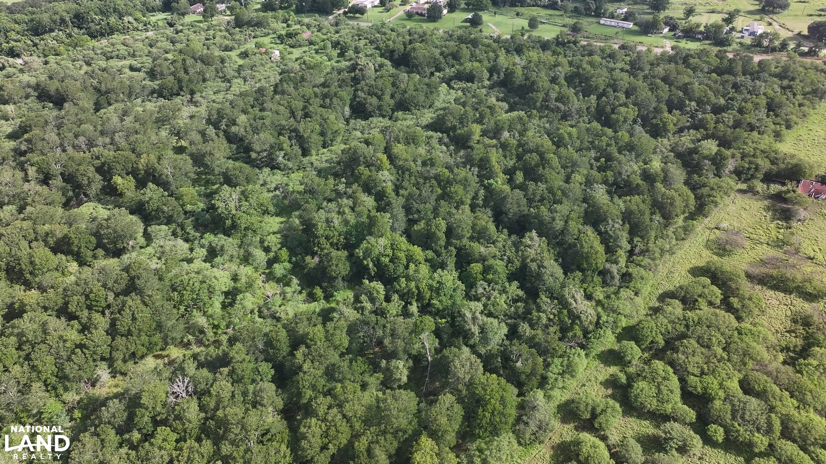 Secluded Unrestricted 55 +/- Acre Paradise in Waller County Texas in Waller County, TX (19 of 25)