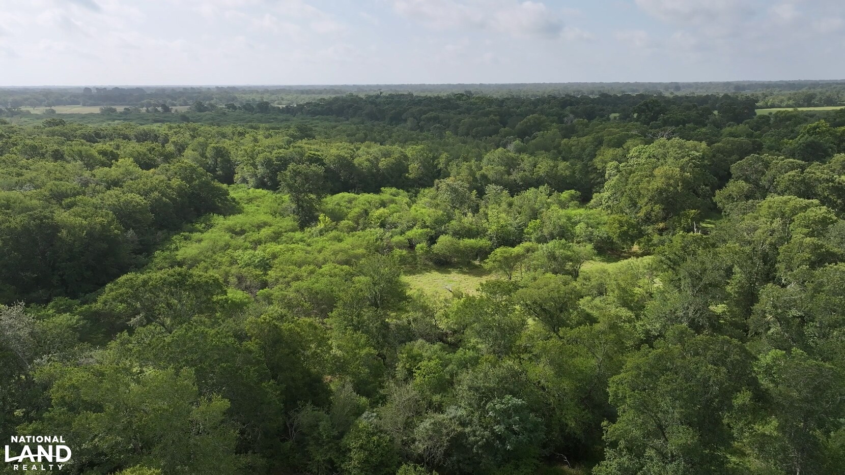Secluded Unrestricted 55 +/- Acre Paradise in Waller County Texas in Waller County, TX (22 of 25)