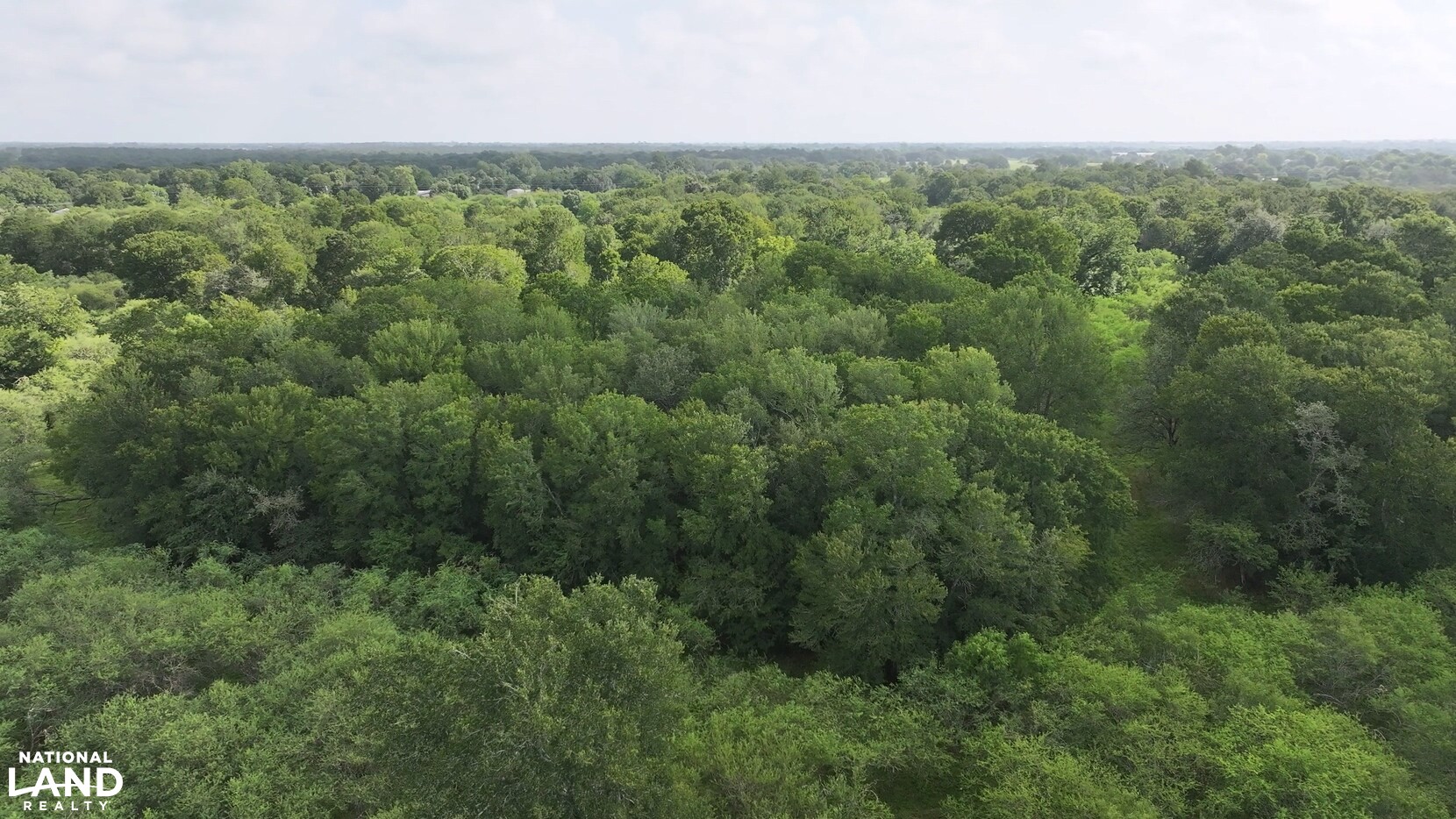 Secluded Unrestricted 55 +/- Acre Paradise in Waller County Texas in Waller County, TX (23 of 25)