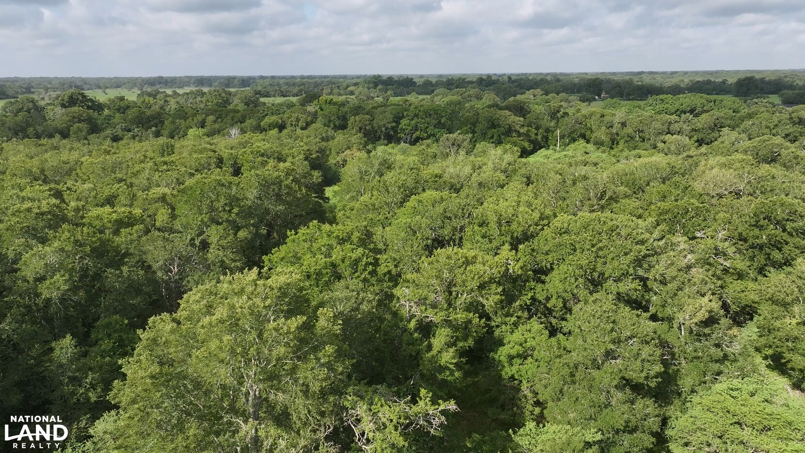 Secluded Unrestricted 55 +/- Acre Paradise in Waller County Texas in Waller County, TX (24 of 25)