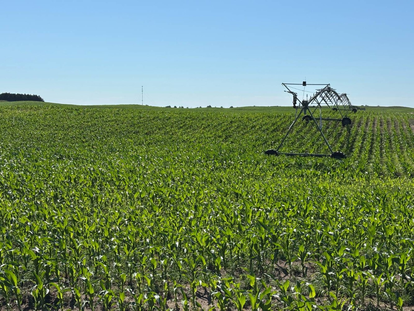 Land for Sale in Brown County, NE (2 of 9)