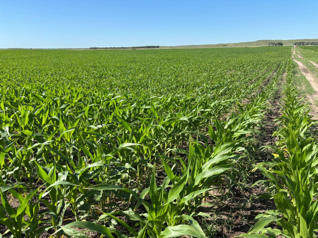 Land for Sale in Brown County, NE (4 of 9)
