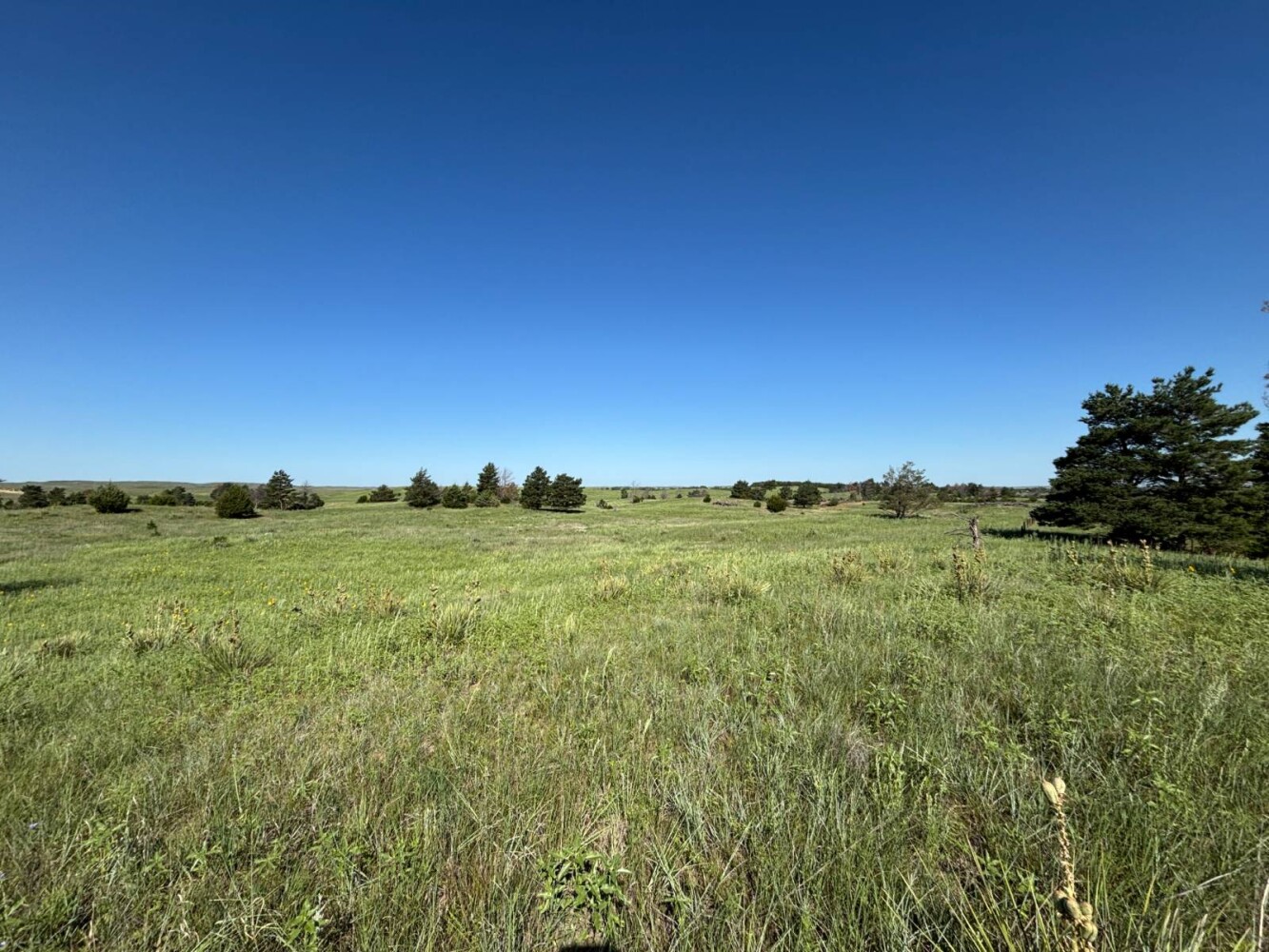 Land for Sale in Brown County, NE (5 of 9)
