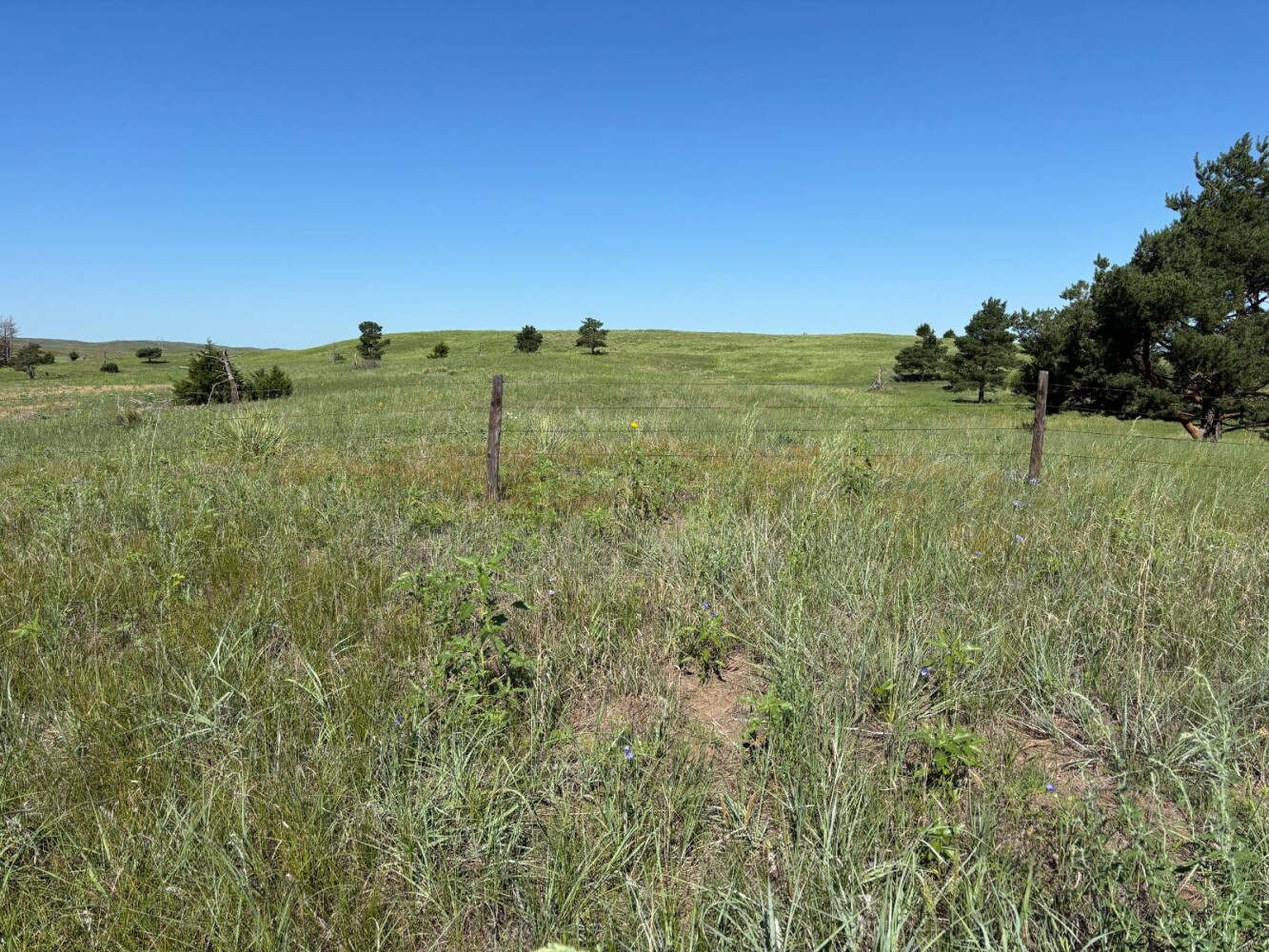 Land for Sale in Brown County, NE (6 of 9)