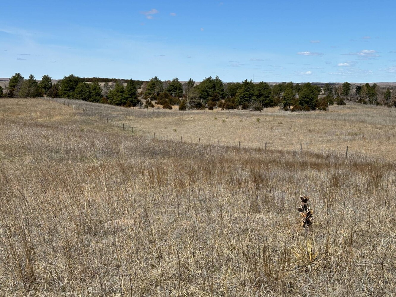 Land for Sale in Brown County, NE (7 of 9)