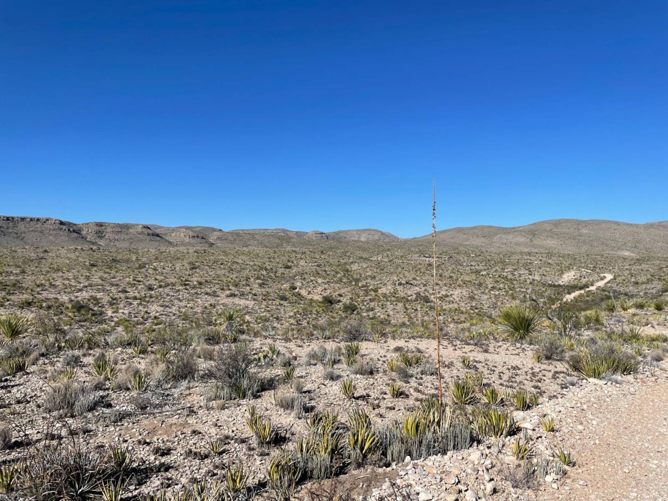 Land for Sale in Brewster County, TX (1 of 9)