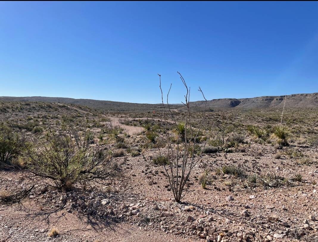 Land for Sale in Brewster County, TX (4 of 9)