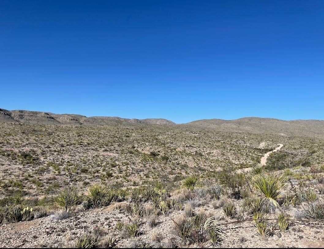 Land for Sale in Brewster County, TX (5 of 9)