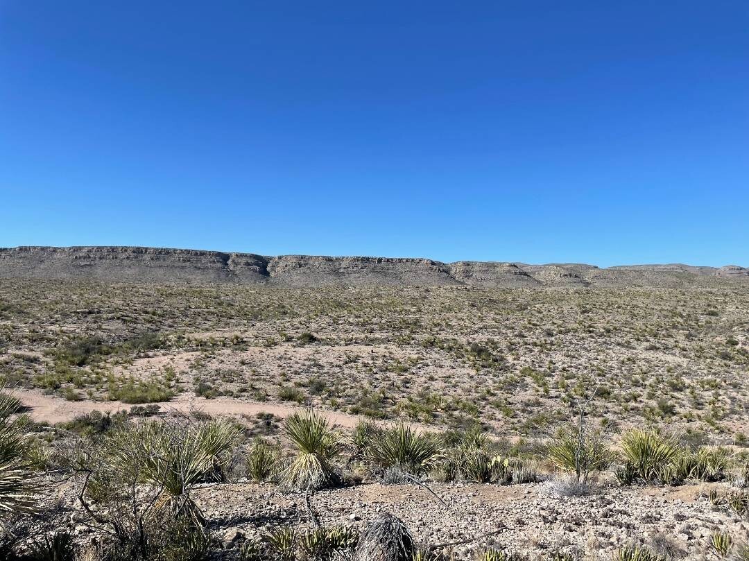Land for Sale in Brewster County, TX (6 of 9)