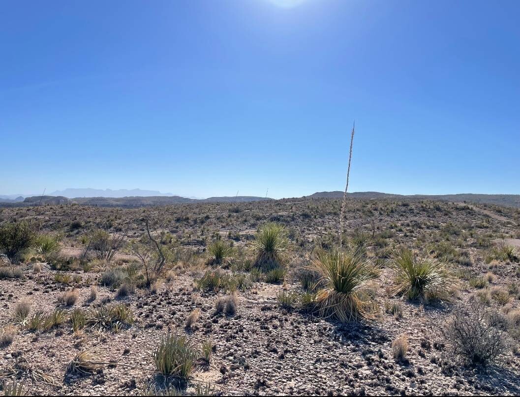 Land for Sale in Brewster County, TX (9 of 9)