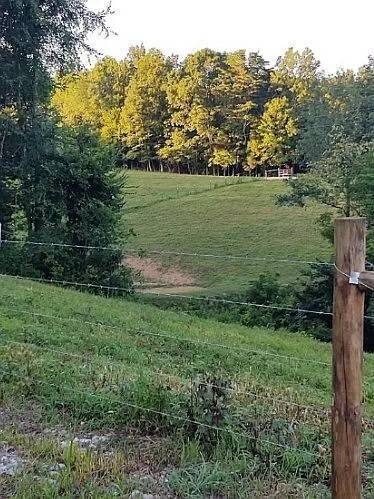 Land for Sale in Clay County, TN (12 of 22)