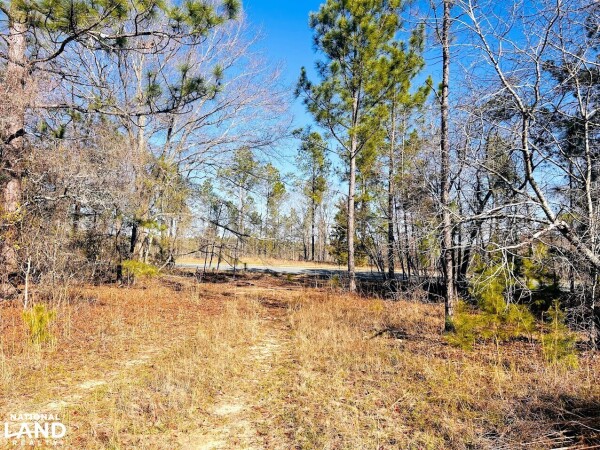 Rural Hunting Recreational Tract and Homestead in Taylor County ...