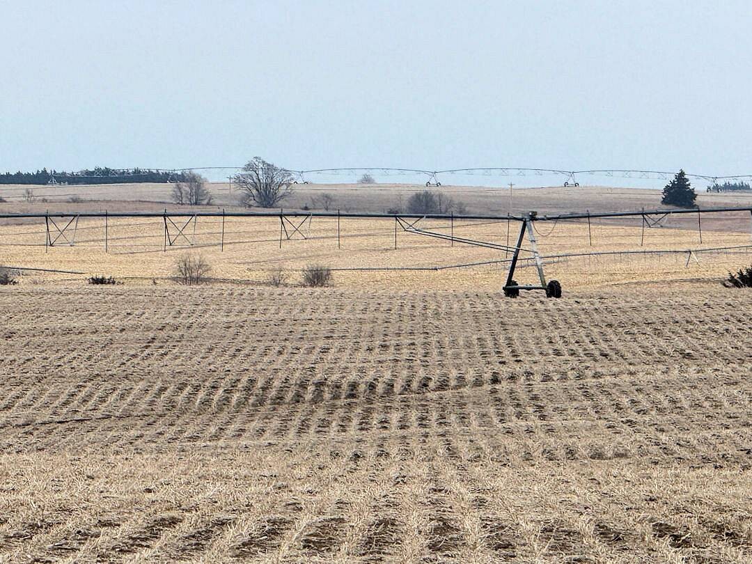 Land for Sale in Knox County, NE (4 of 51)
