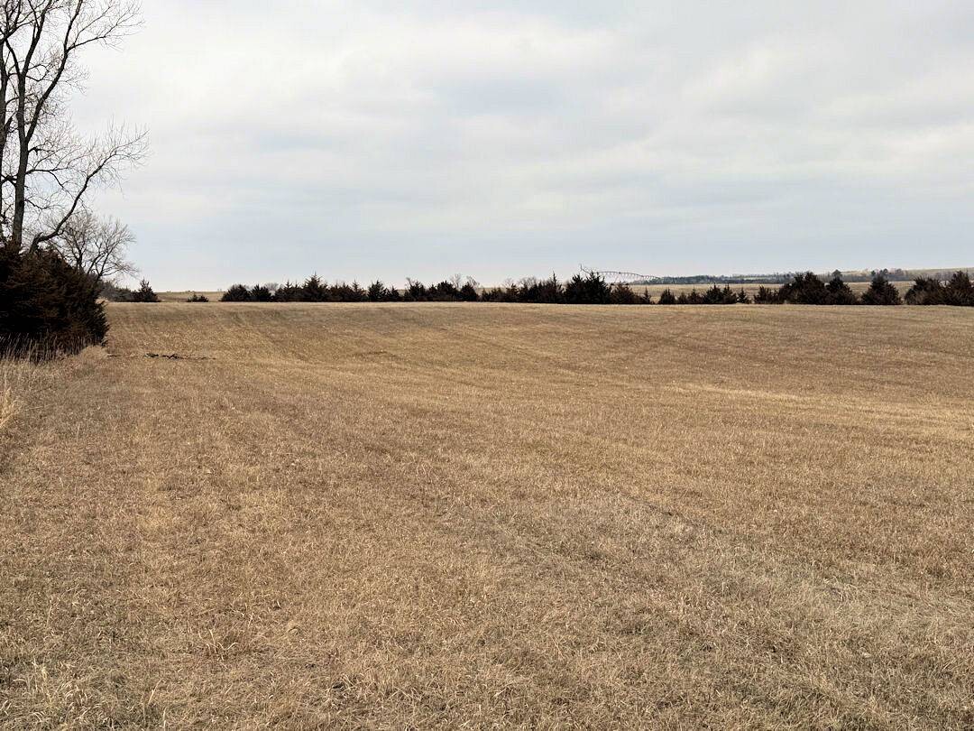 Land for Sale in Knox County, NE (19 of 51)