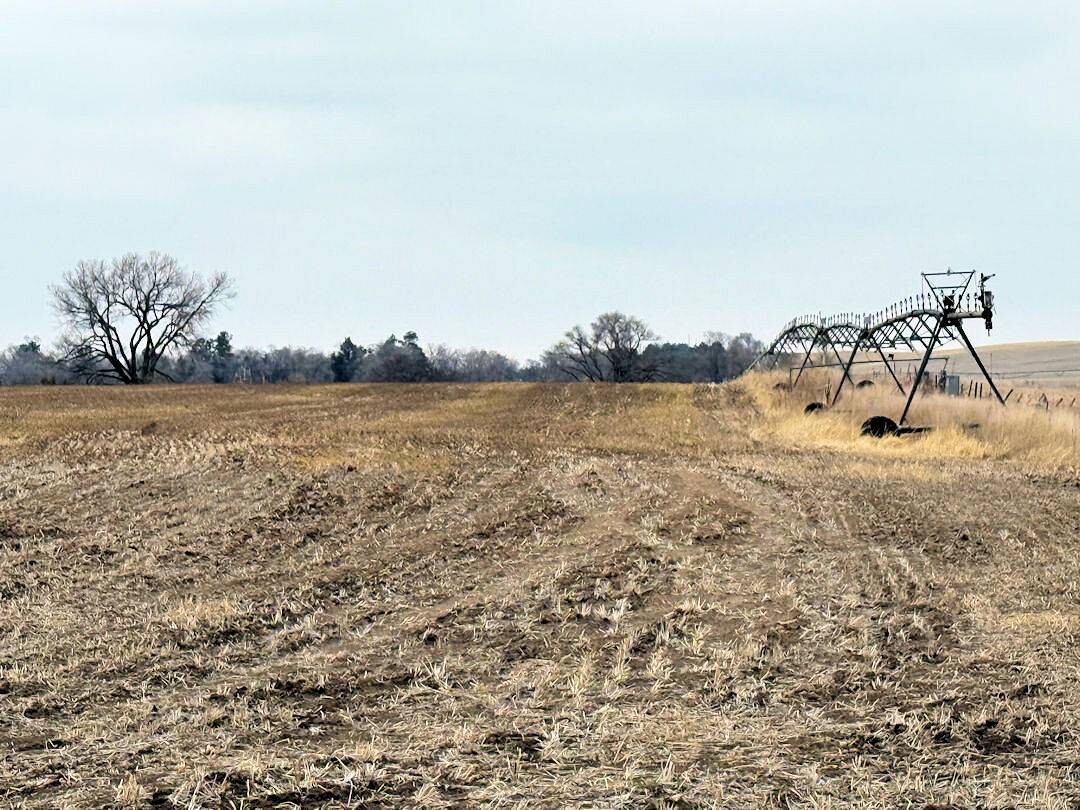 Land for Sale in Knox County, NE (22 of 51)