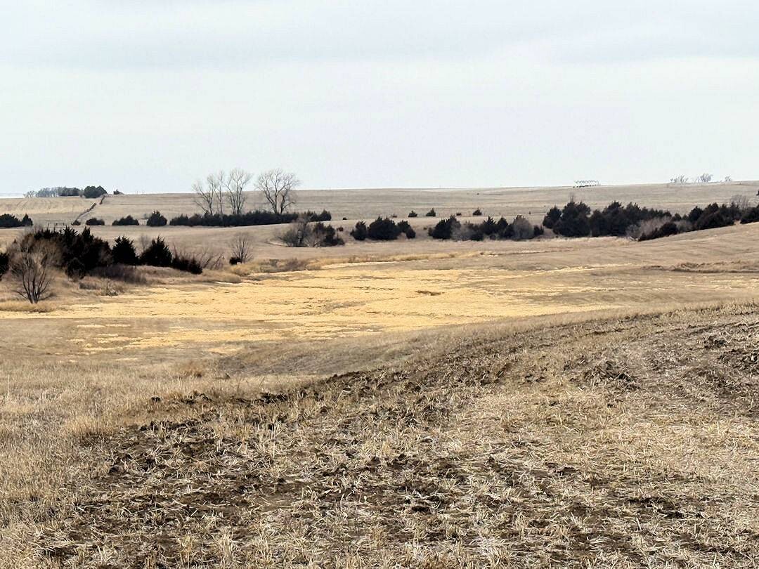 Land for Sale in Knox County, NE (23 of 51)