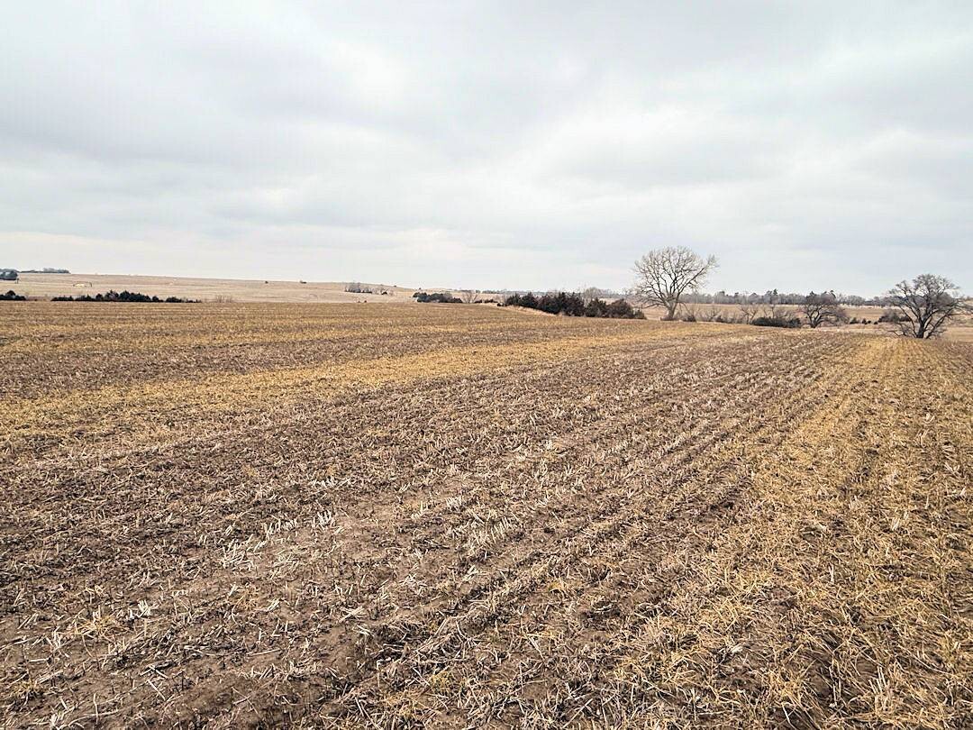 Land for Sale in Knox County, NE (25 of 51)