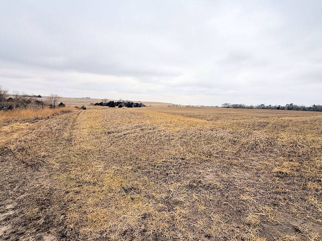 Land for Sale in Knox County, NE (34 of 51)