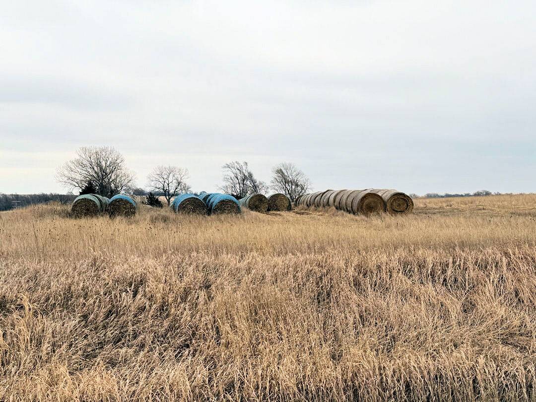 Land for Sale in Knox County, NE (41 of 51)