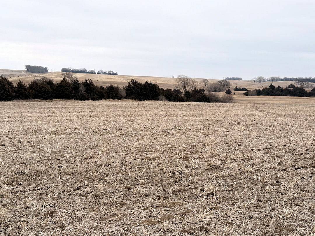 Land for Sale in Knox County, NE (42 of 51)