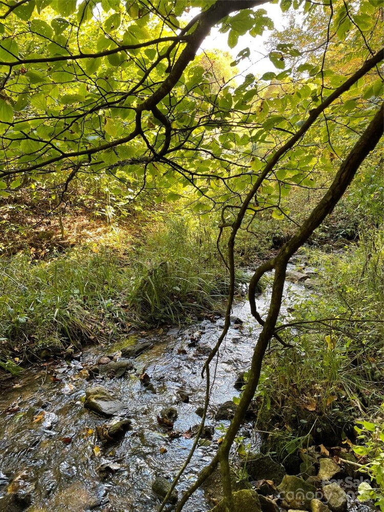 Land for Sale in Yancey County, NC (1 of 29)