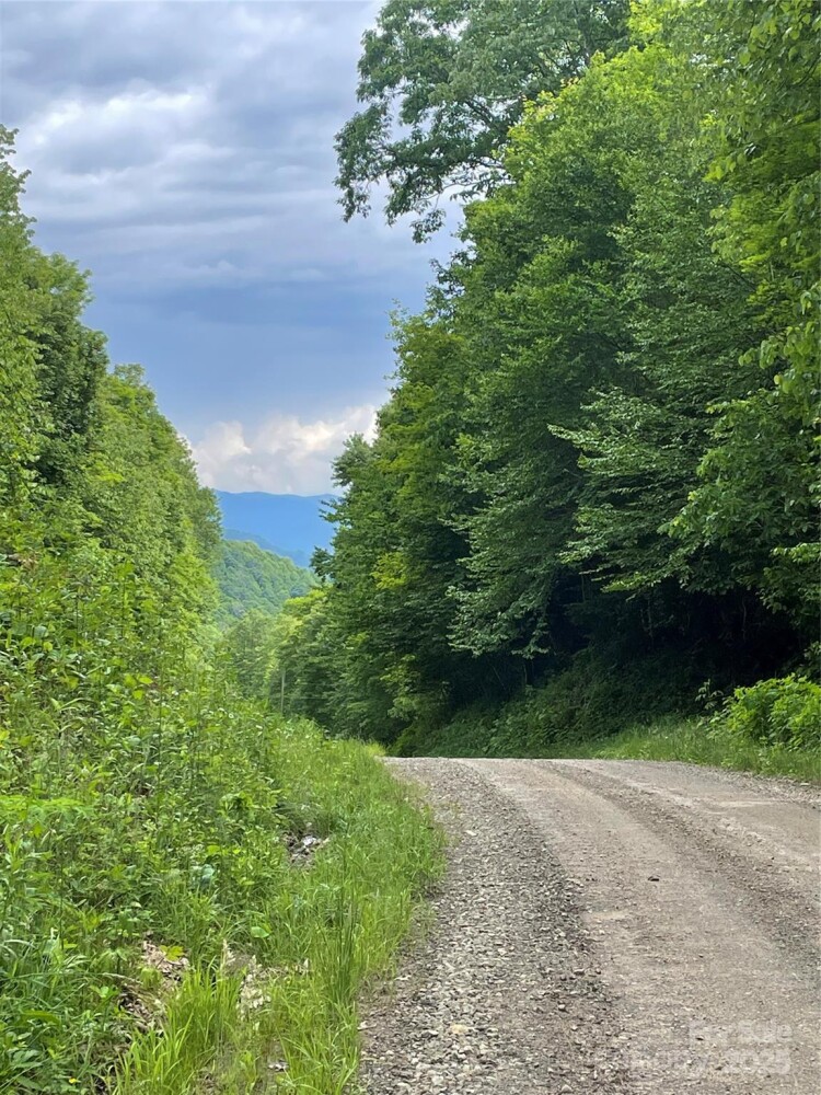 Land for Sale in Yancey County, NC (2 of 29)