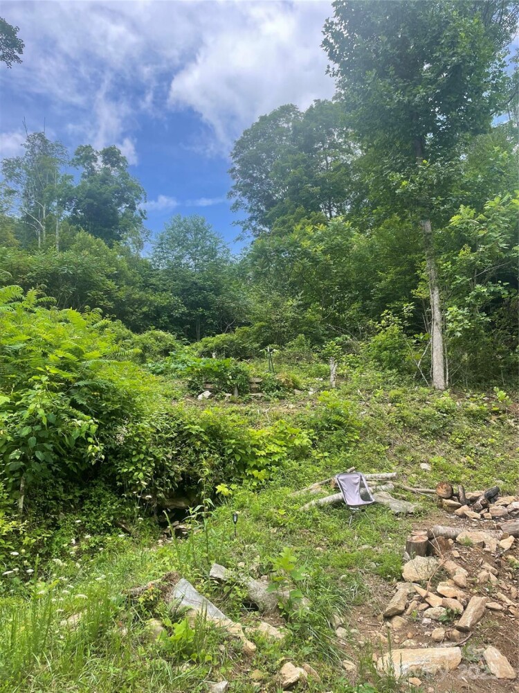 Land for Sale in Yancey County, NC (7 of 29)