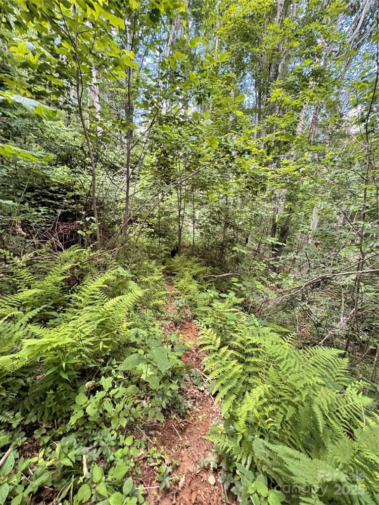 Land for Sale in Yancey County, NC (8 of 29)