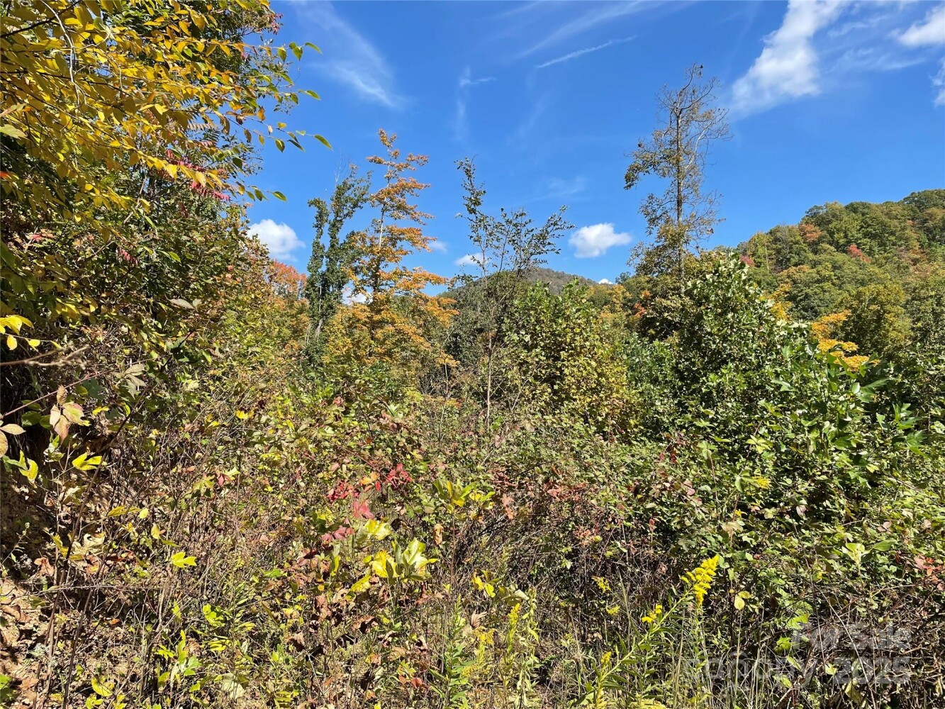Land for Sale in Yancey County, NC (9 of 29)