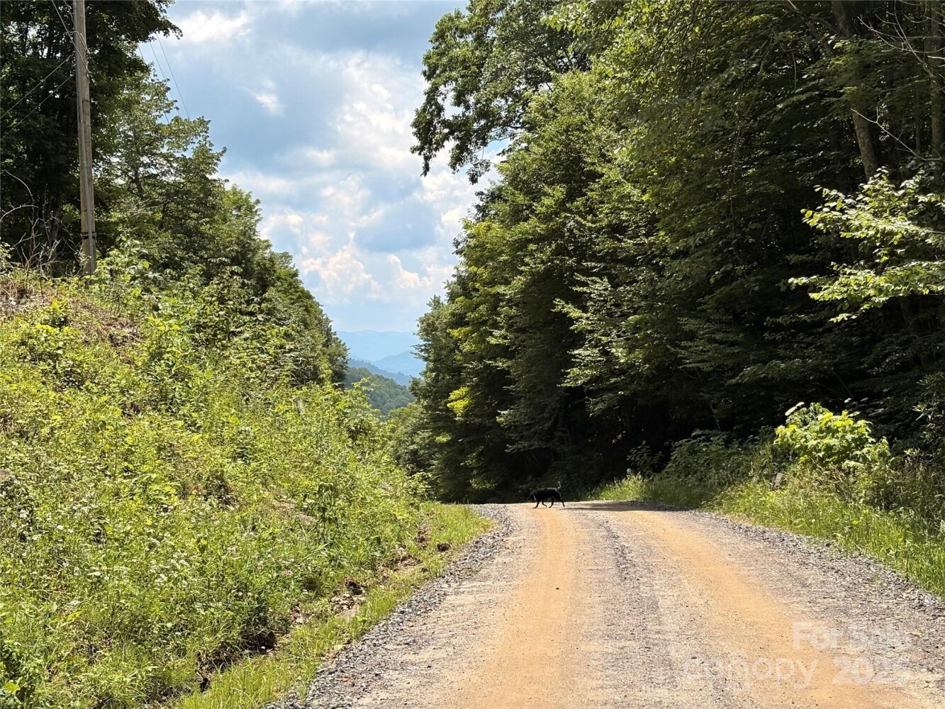 Land for Sale in Yancey County, NC (13 of 29)