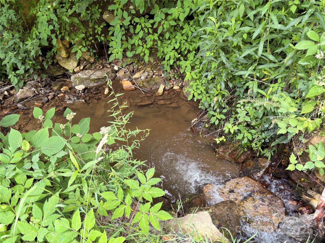 Land for Sale in Yancey County, NC (15 of 29)
