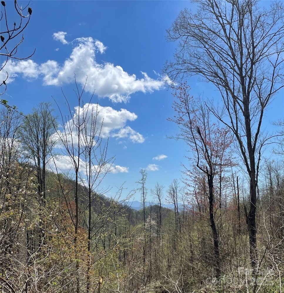 Land for Sale in Yancey County, NC (17 of 29)