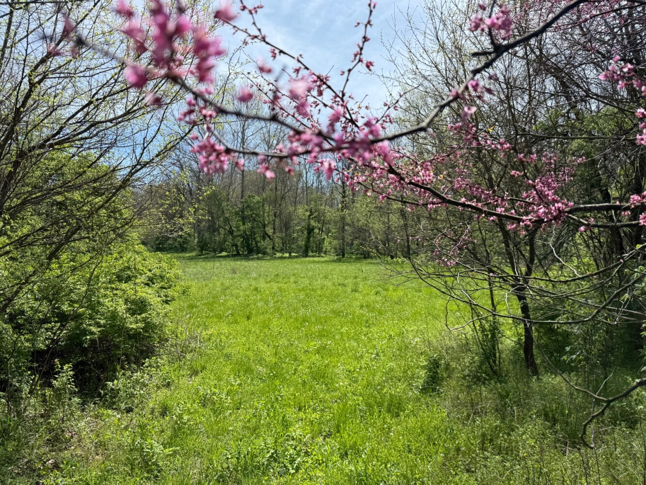 Land for Sale in Union County, IN (1 of 36)