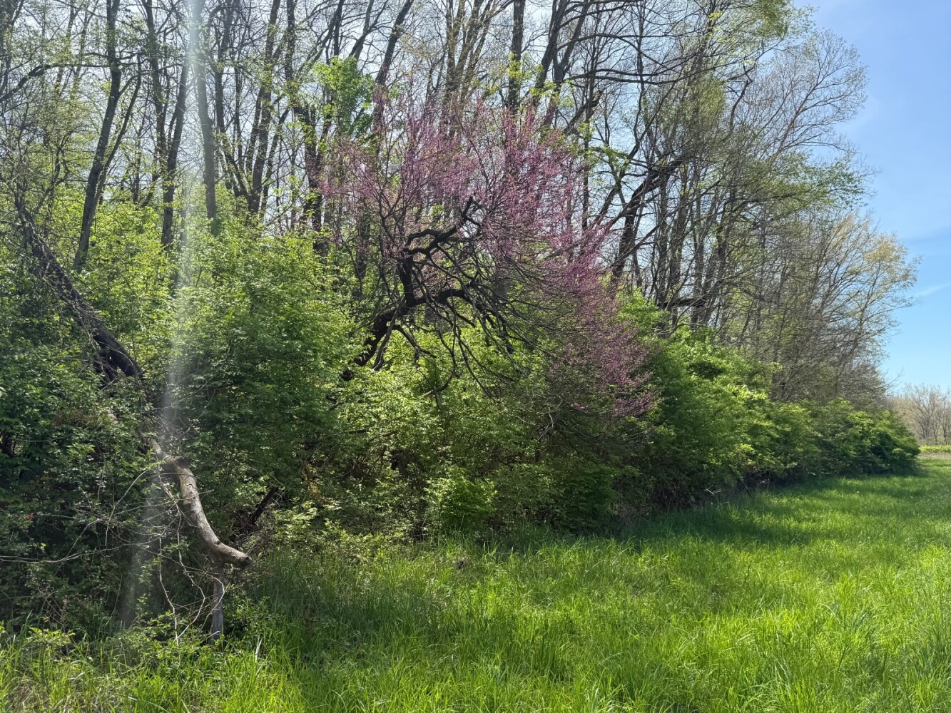 Land for Sale in Union County, IN (2 of 36)