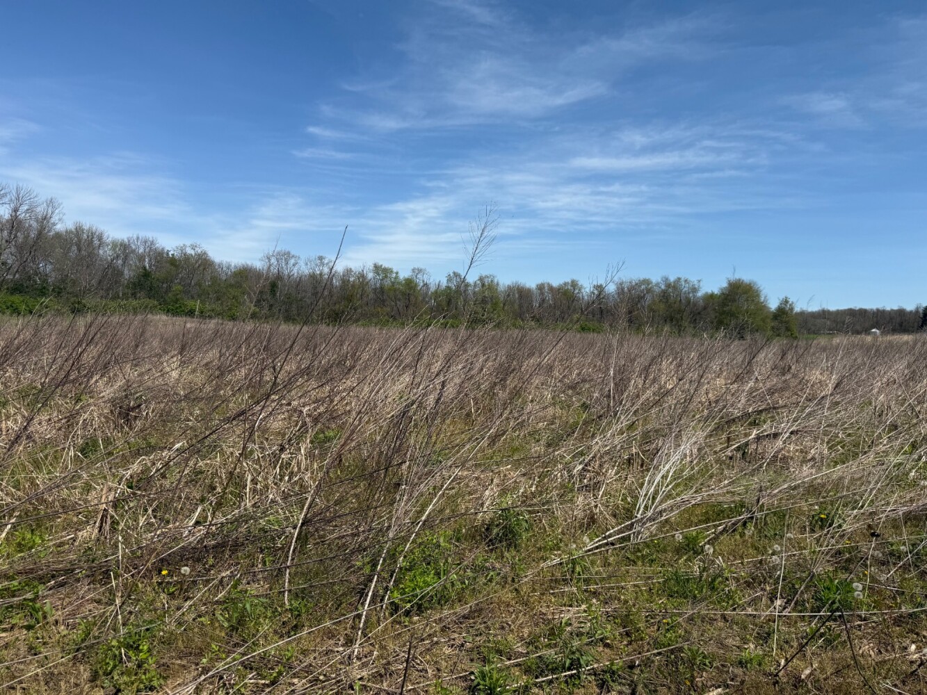 Land for Sale in Union County, IN (5 of 36)