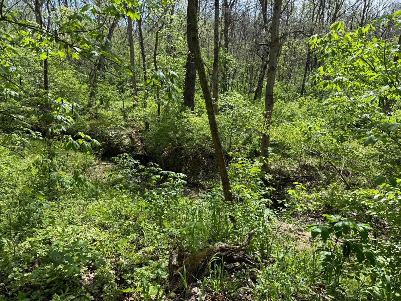Land for Sale in Union County, IN (7 of 36)