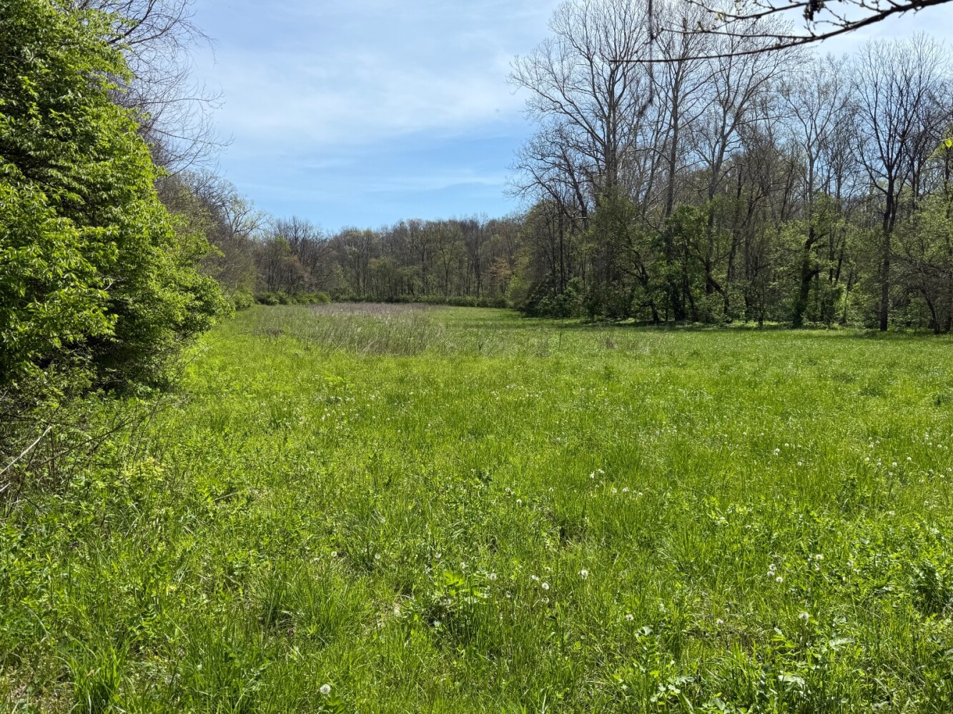 Land for Sale in Union County, IN (9 of 36)