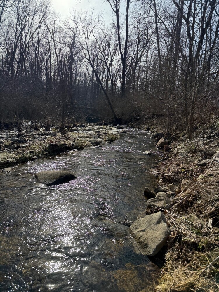 Land for Sale in Union County, IN (11 of 36)