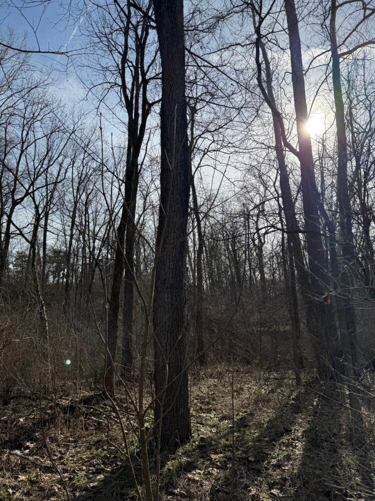 Land for Sale in Union County, IN (13 of 36)
