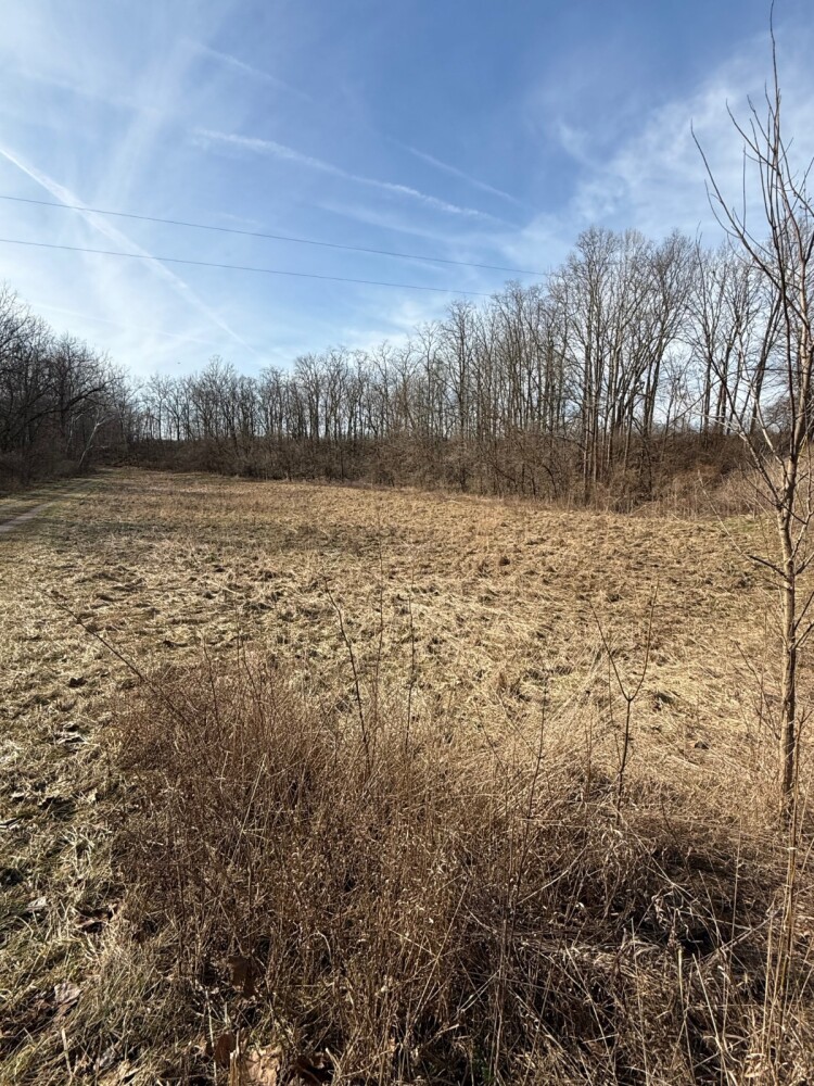 Land for Sale in Union County, IN (14 of 36)