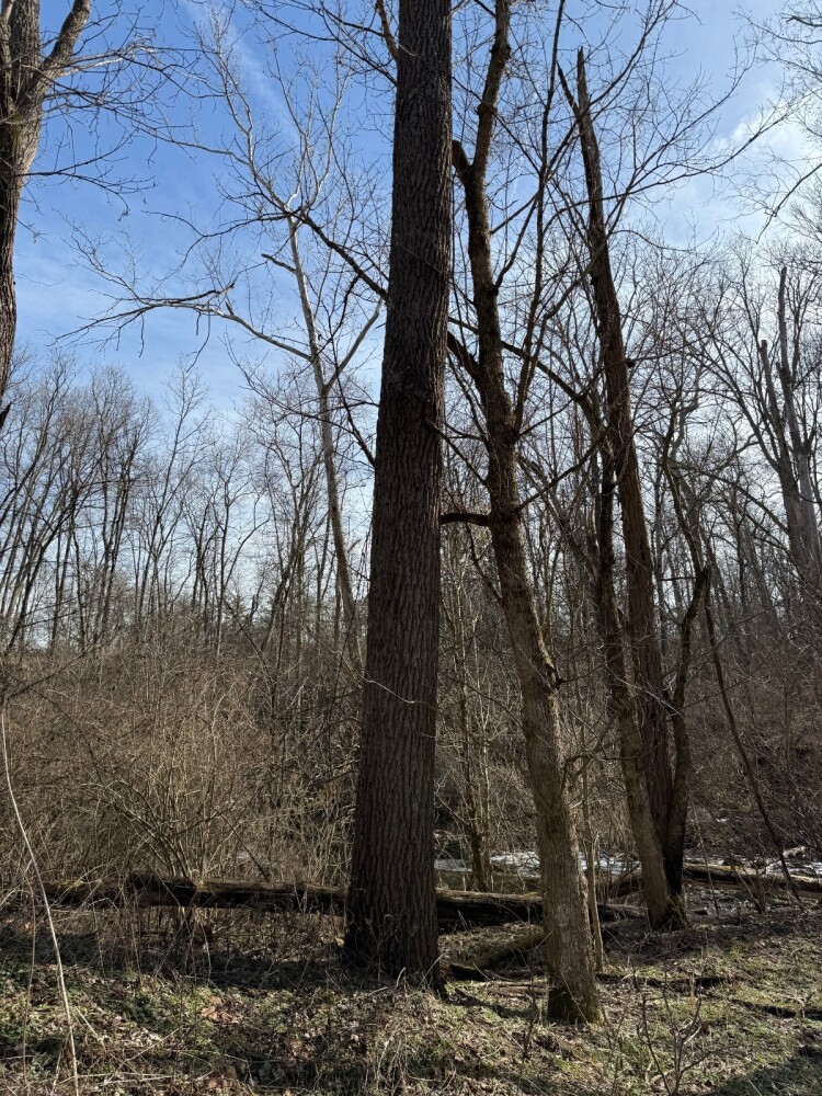Land for Sale in Union County, IN (15 of 36)