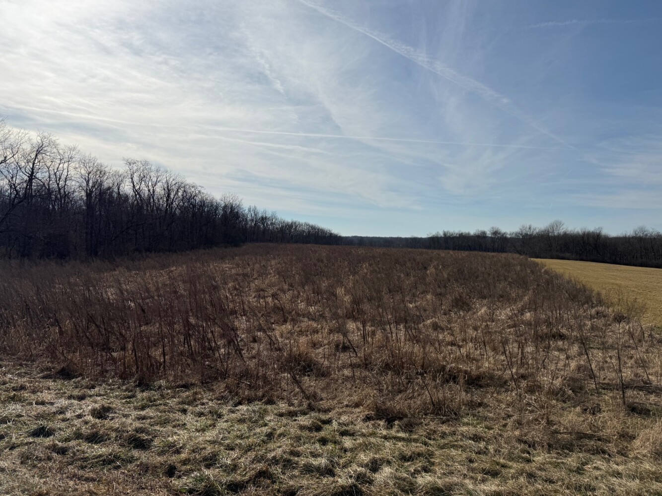 Land for Sale in Union County, IN (16 of 36)
