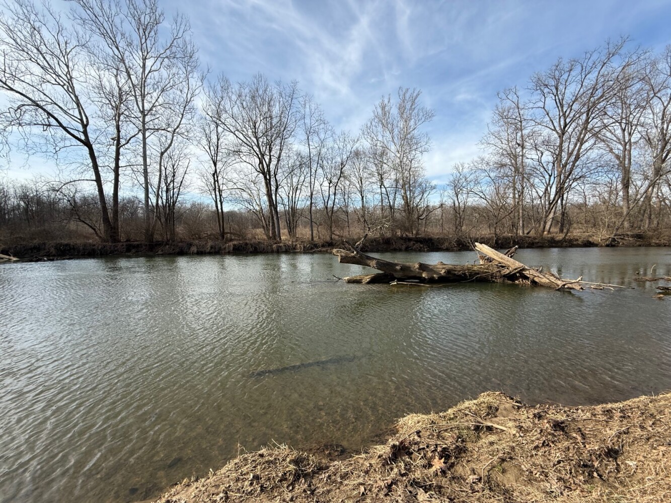 Land for Sale in Union County, IN (19 of 36)