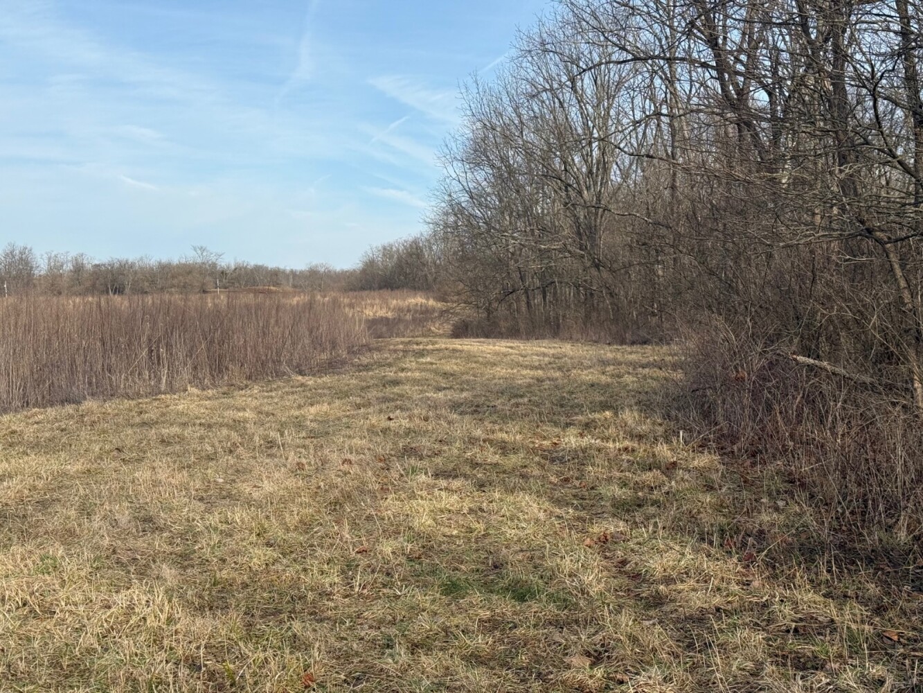 Land for Sale in Union County, IN (28 of 36)