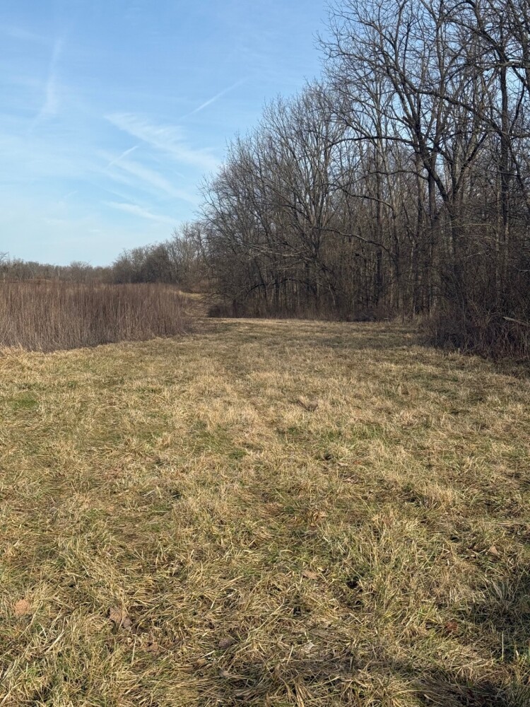 Land for Sale in Union County, IN (31 of 36)