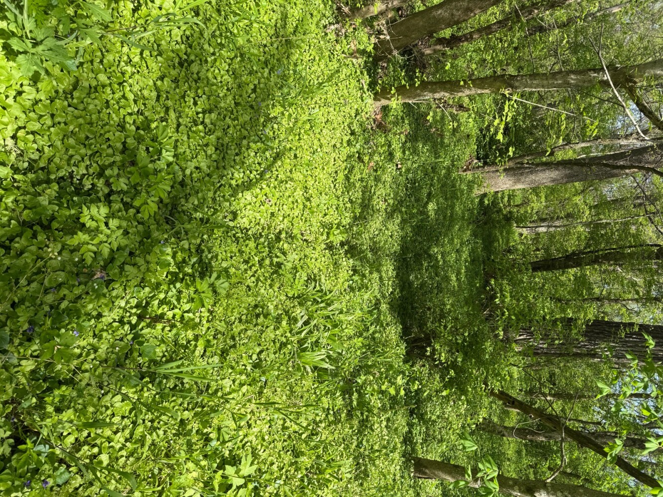 Land for Sale in Union County, IN (32 of 36)