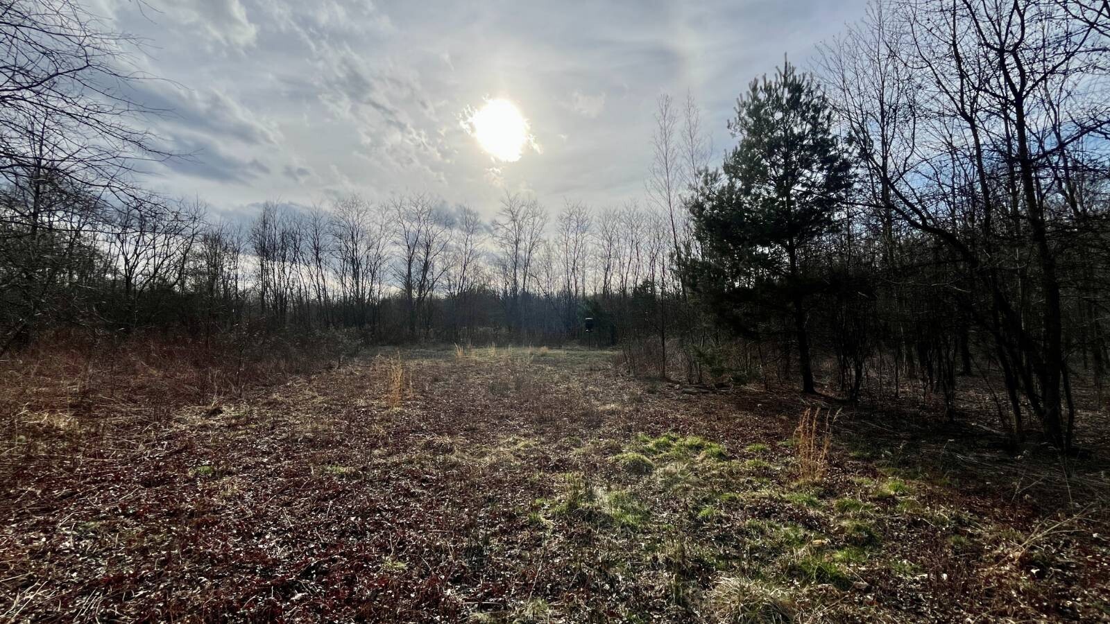 Land for Sale in Trumbull County, OH (6 of 79)
