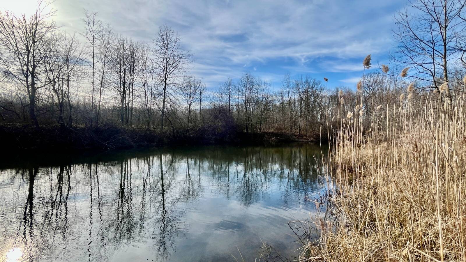 Land for Sale in Trumbull County, OH (7 of 79)