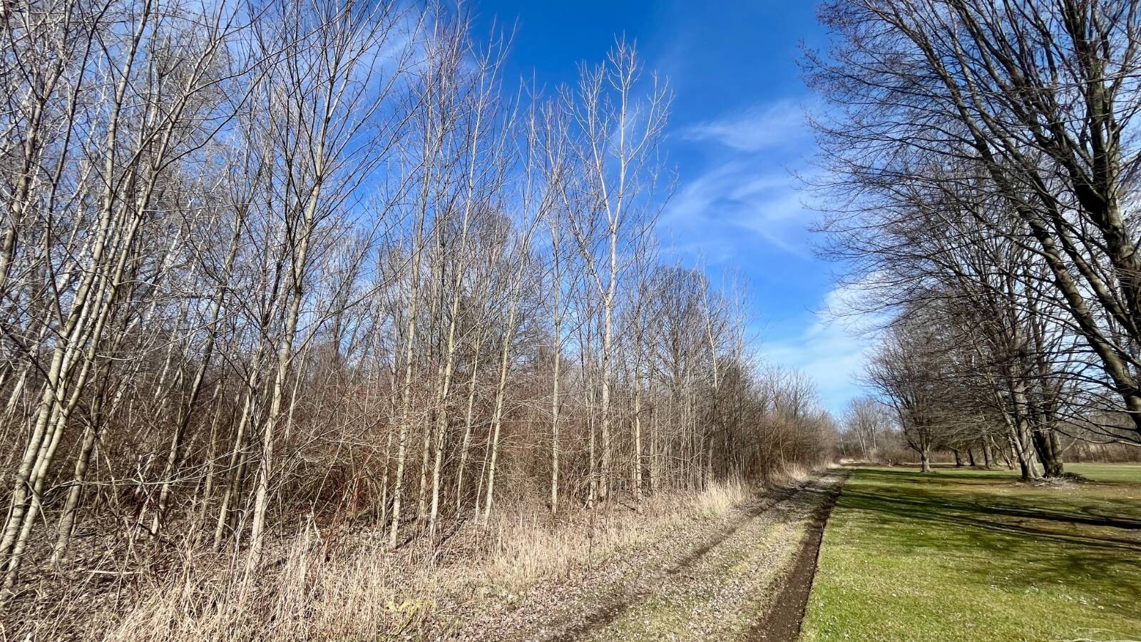 Land for Sale in Trumbull County, OH (22 of 79)