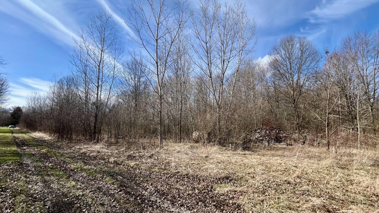 Land for Sale in Trumbull County, OH (23 of 79)